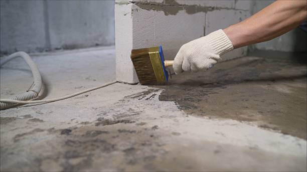 SJ Waterproofing Pros Basement Waterproofing coverage map for Saint Charles, MI and surrounding area